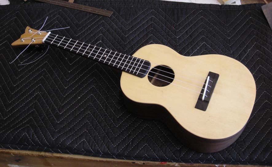 Ukulele Building Plans