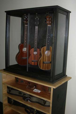 Ukulele Display Case